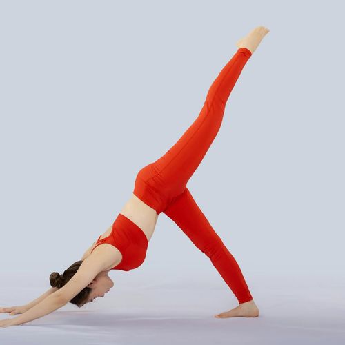 Woman performing a yoga pose that demonstrates flexibility and strength.